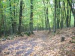 DSCN1627 (Medium).JPG