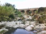 DSC07935.jpg