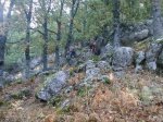 Foto0441.jpg