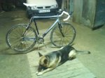 DSC00455.JPG