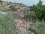 Imagen039.jpg