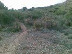 Imagen041.jpg