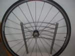 DSCN0851.JPG
