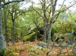 DSCN4800.JPG