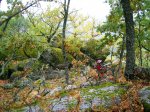 DSCN4801.JPG