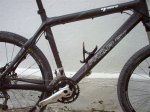 proflex1.jpg