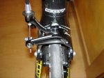 DSC05305.jpg
