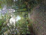 dsc00115.jpg
