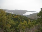 IMG_1028_resize.JPG
