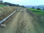 DSC00041.jpg
