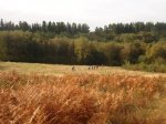 DSC07820.JPG