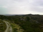 IMAGE_00382.jpg