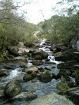 IMAGE_00395.jpg
