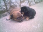PICT0011.jpg