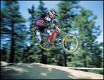 tomac.jpg