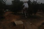 DSC09876.jpg