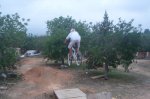 DSC09884.jpg