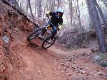 DSC06742.JPG