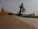 11102008667.jpg