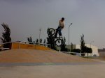 11102008673.jpg