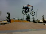 11102008676.jpg