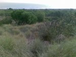 Imagen043.jpg
