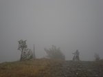 DSC01484.jpg