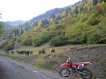 DSCN3015.JPG