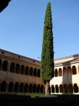 DSCN0085 (Large).JPG