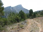 DSCN0111 (Large).JPG