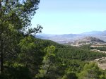 Imagen 047.jpg