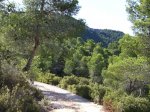 Imagen 048.jpg