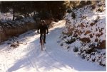 Copia de aun+nieve font.jpg