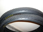 Maxxis Larsen TT 3.JPG