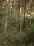 DSC01422.jpg