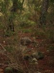 DSC01441.jpg