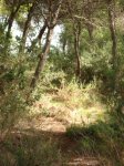 DSC01442.jpg