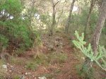 DSC01399.jpg