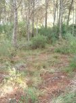 DSC01429.jpg