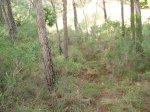 DSC01419.jpg