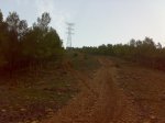 13102008576.jpg