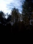paisajes castellÃ³n (1).jpg