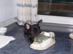 clip_image004.jpg