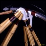 3-velo-bambou.jpg