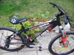 Bici6.jpg
