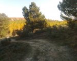 Imagen047.jpg