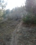 Imagen048.jpg