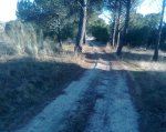 Imagen050.jpg