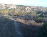 Imagen051.jpg