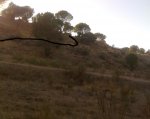 Imagen057.jpg